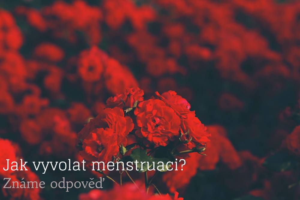 jak vyvolat menstruaci