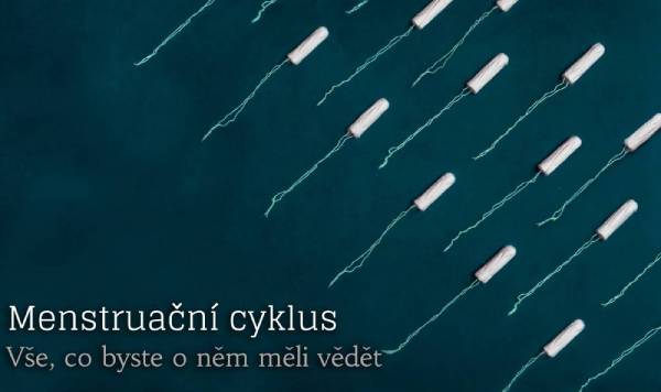 menstruační cyklus 