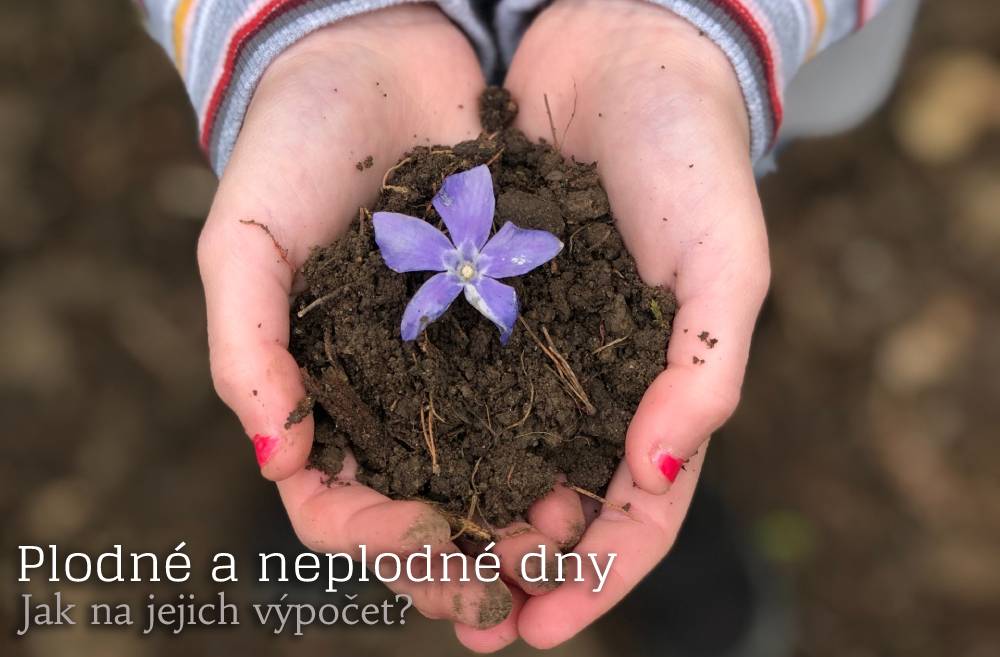 plodné a neplodné dny