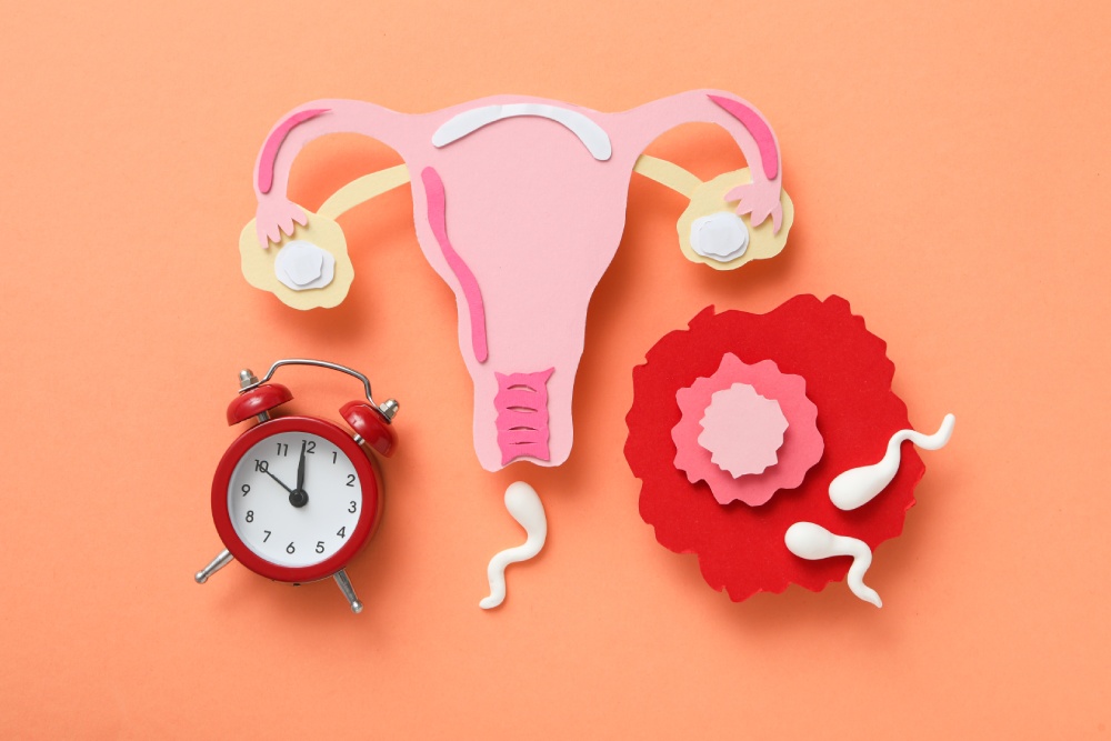 jak dlouho trvá menstruace