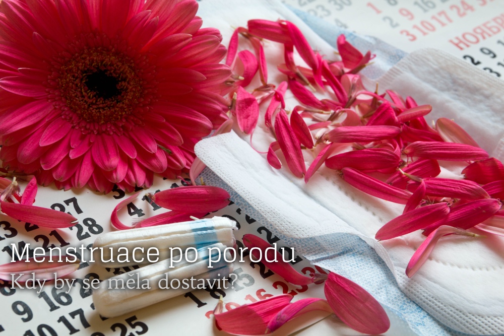 menstruace po porodu